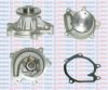 AQUAPLUS 85-5990 Water Pump